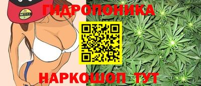 СК Рыбинск