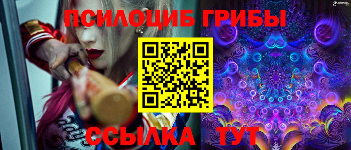 Рыбинск  Галлюциногенные грибы MAGIC MUSHROOMS  Вход с VPN 