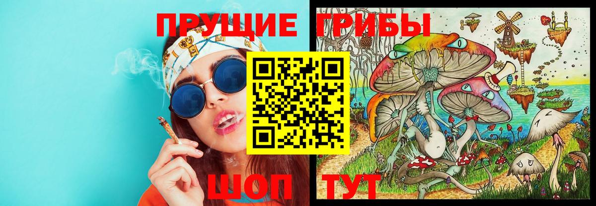 Псилоцибиновые грибы Magic Shrooms Рыбинск